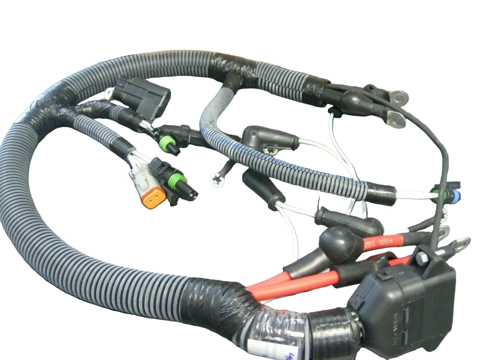 3922154 Genuine Cummins Wiring Harness