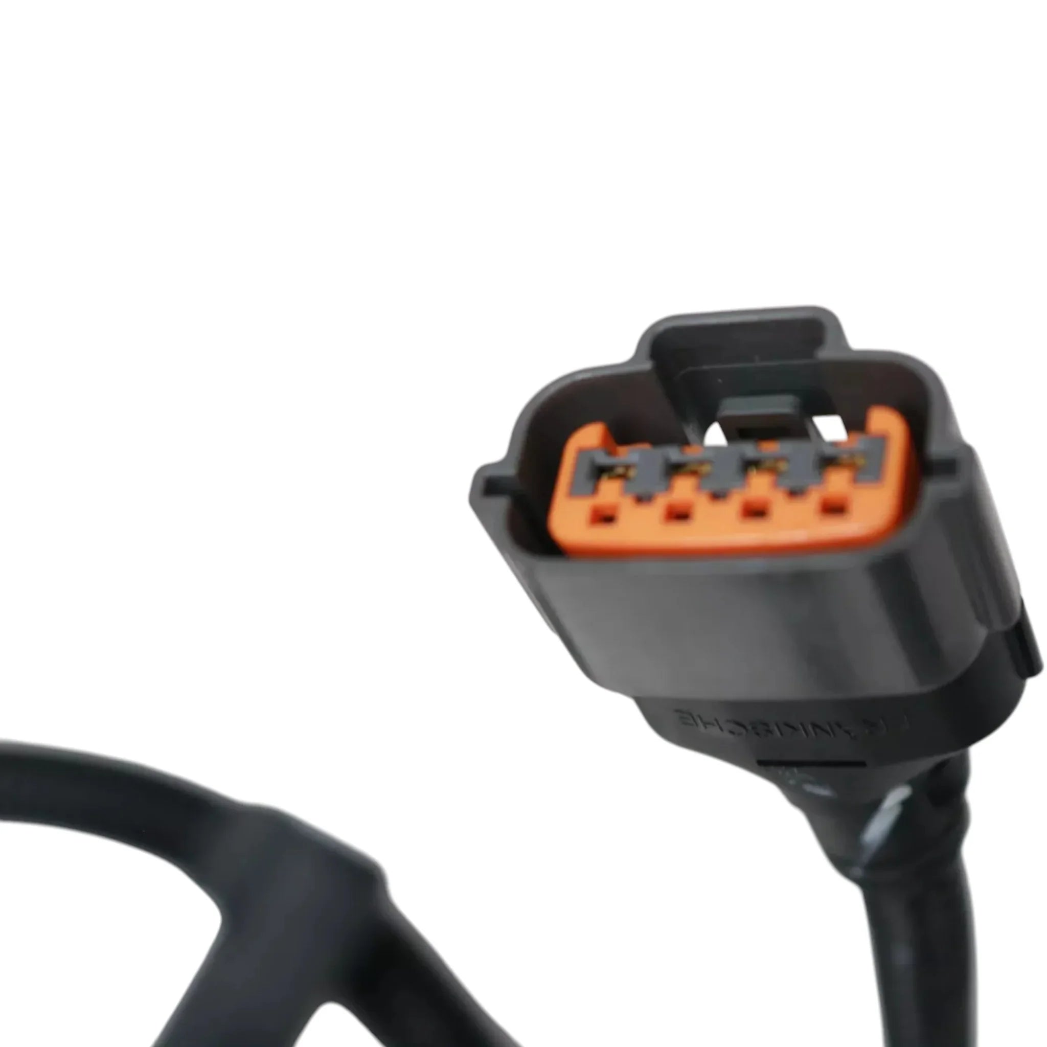 2893134 Genuine Cummins Control Module Wiring Harness