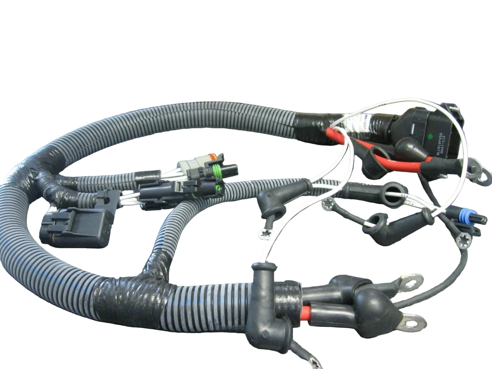 3922154 Genuine Cummins Wiring Harness