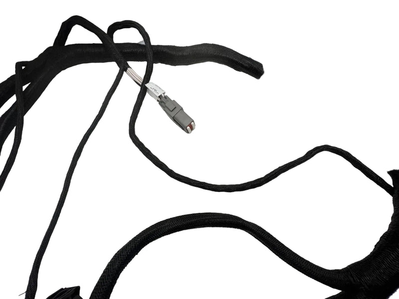 1001266666 JLG Wiring Harness