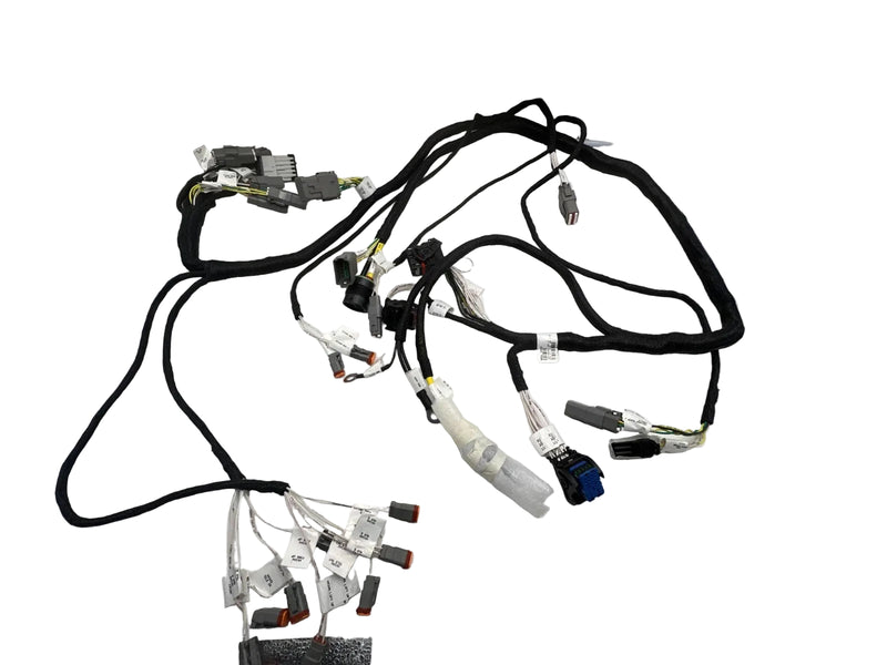 1001266666 JLG Wiring Harness