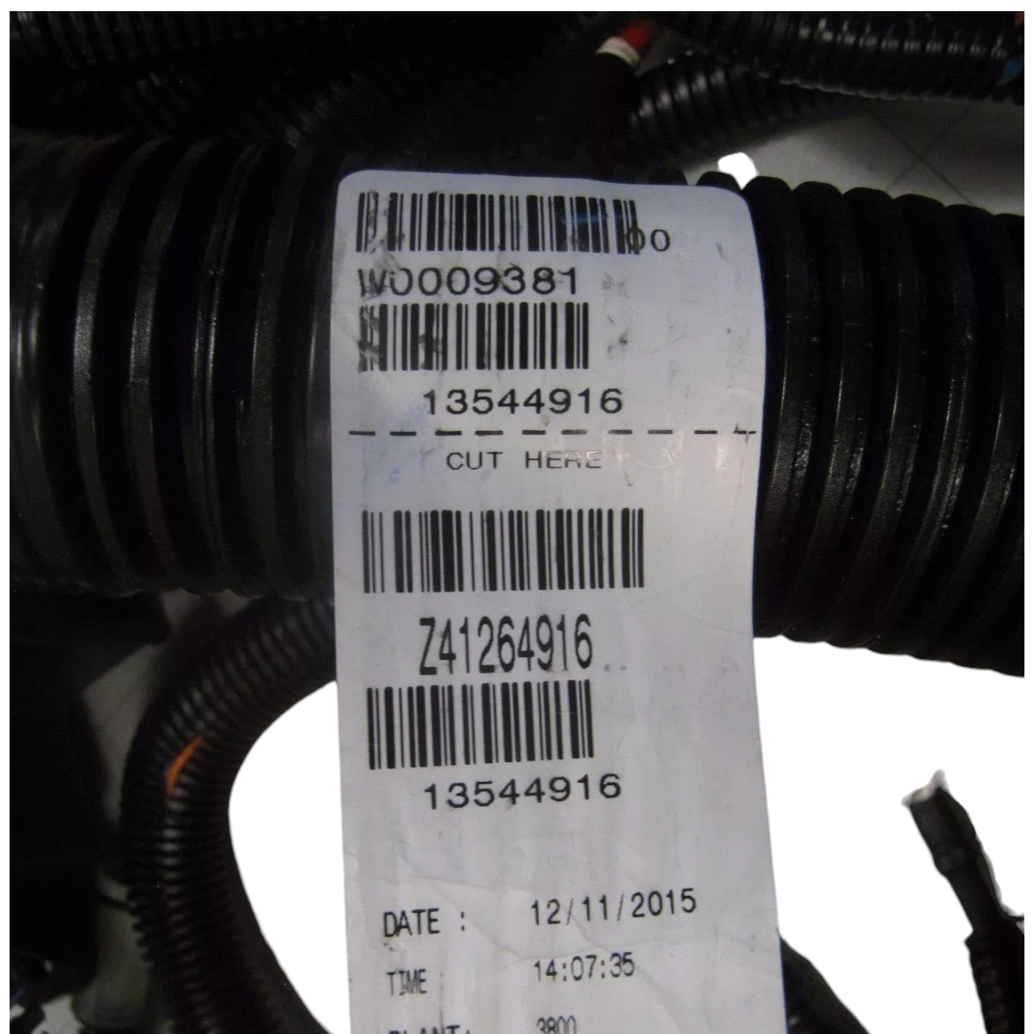 W0009381 Workhorse Engine Wiring Harness