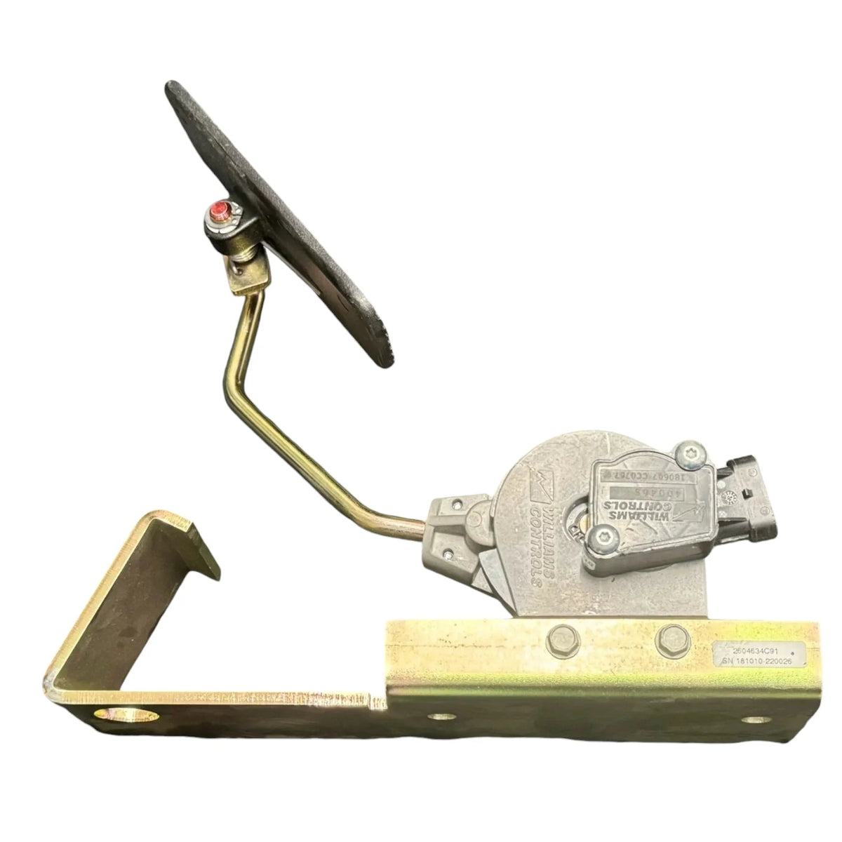 Genuine International Pedal Electronic Assembly