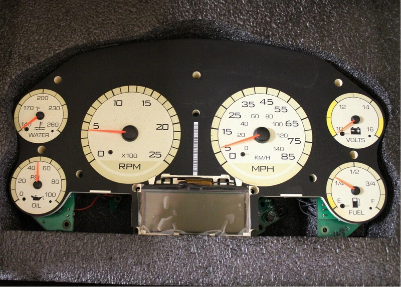 5011008R91 International Instrument Cluster L/Housing