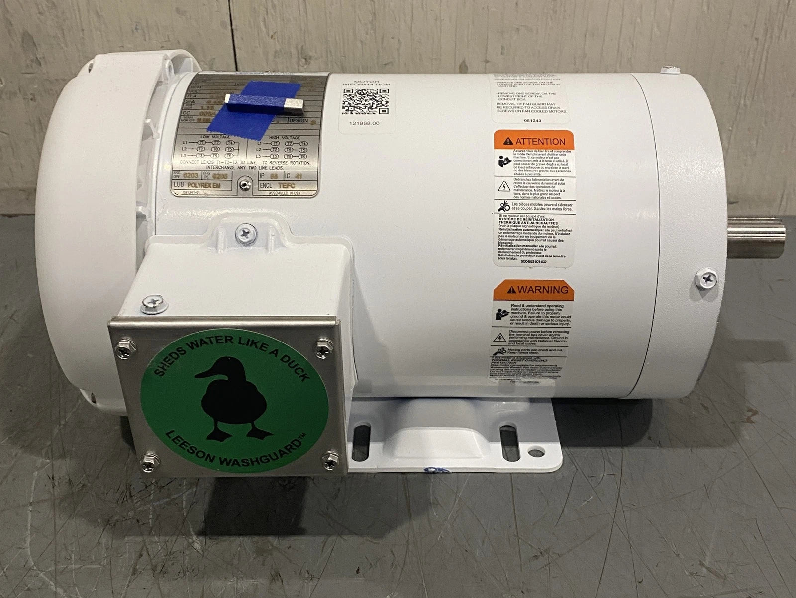Leeson General Purpose Washdown Duty Motor