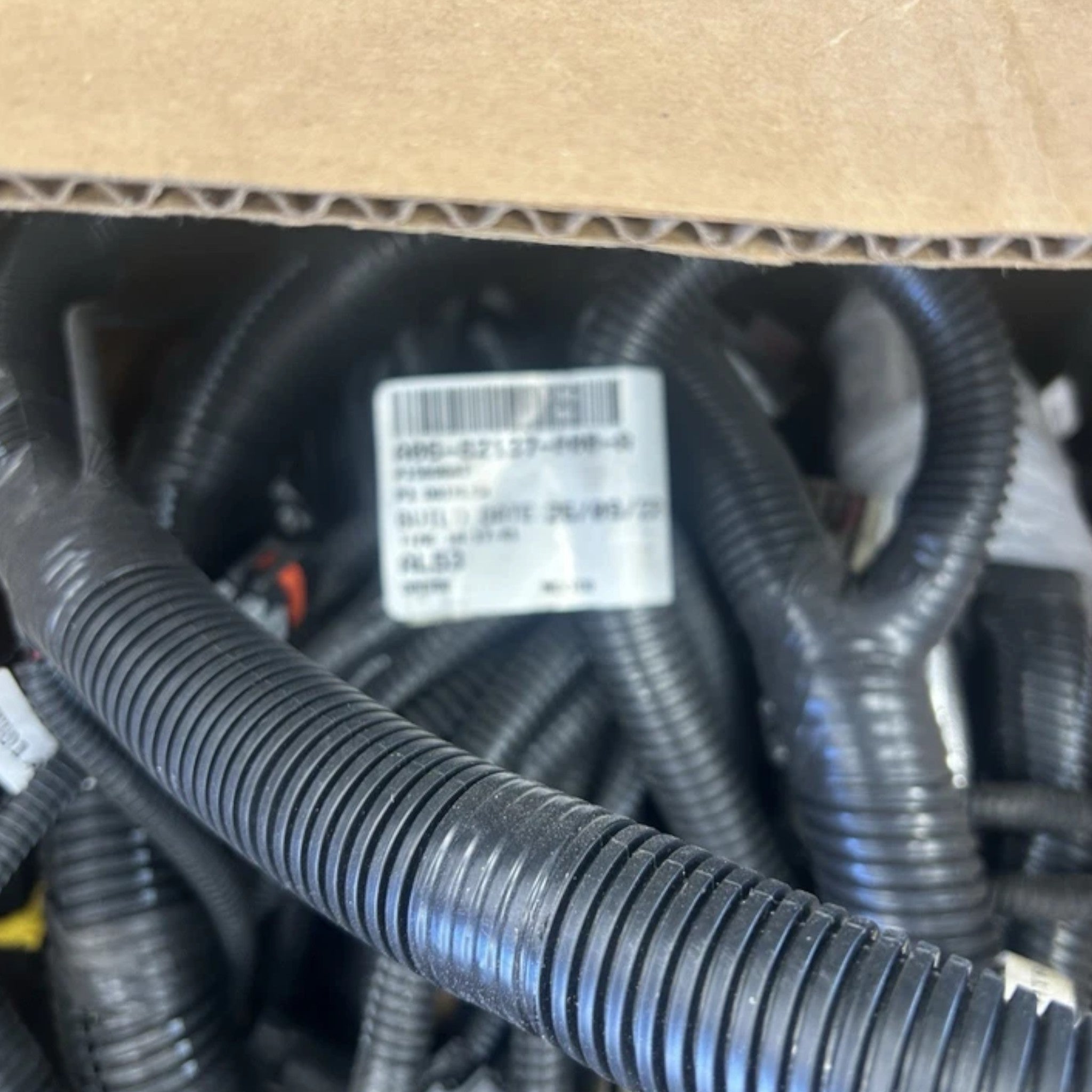 S8100010422 Freightliner Chassis Wiring Harness