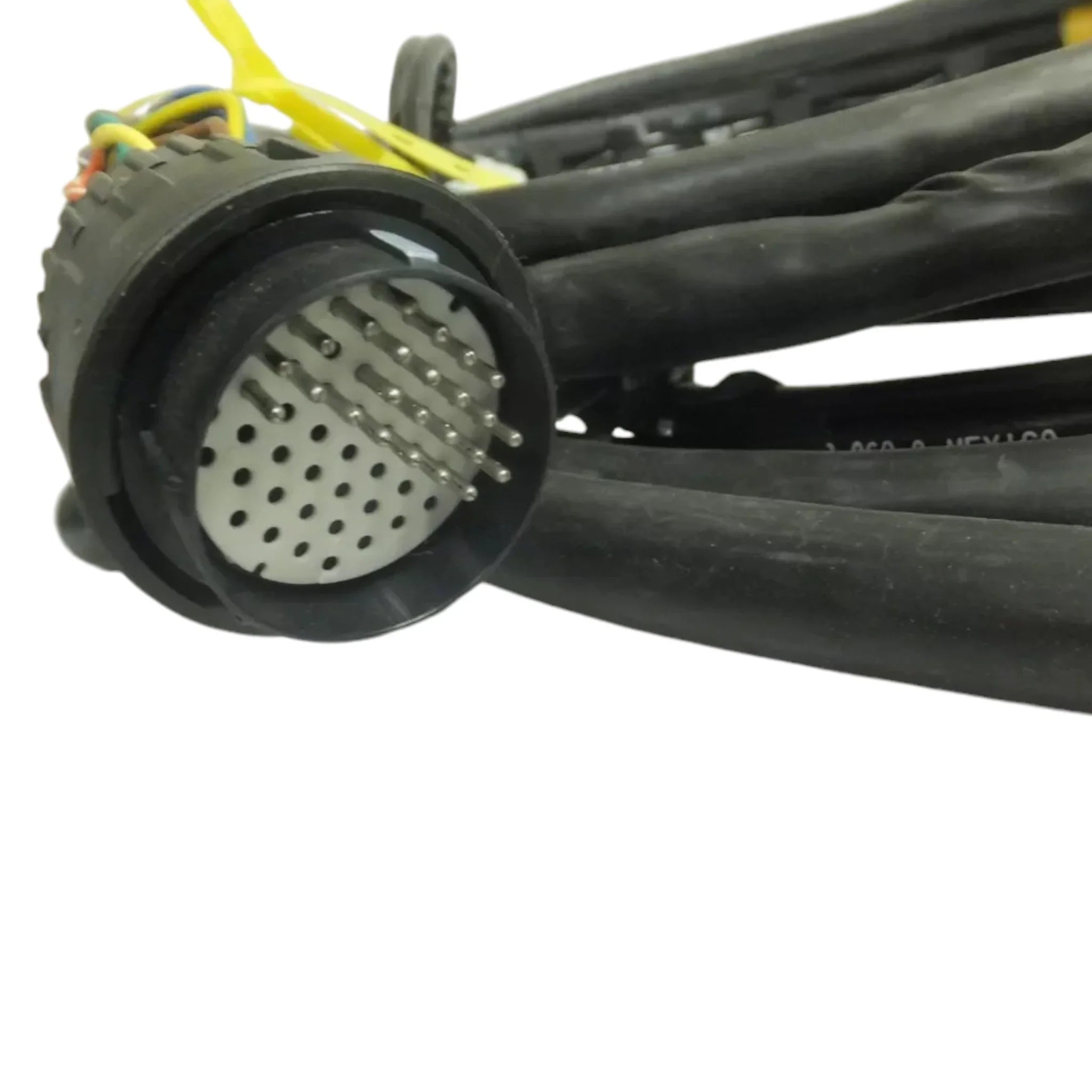 2614567C91 Genuine International Wiring Harness