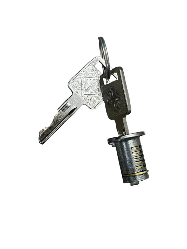 2586998C91 Genuine International Ignition Lock