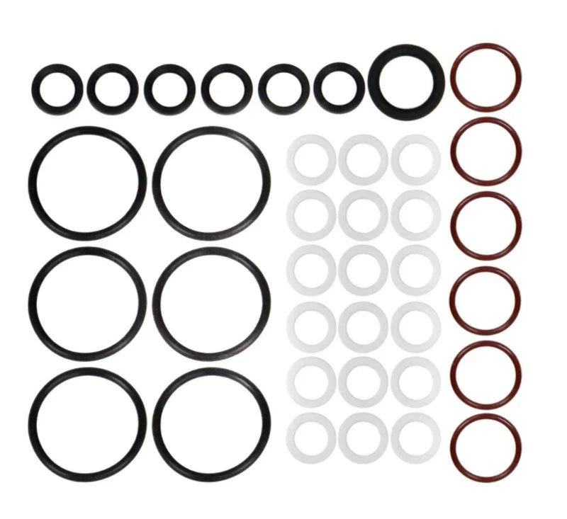 S21951 Genuine International High-Pressure Oil Rail Seal Kit