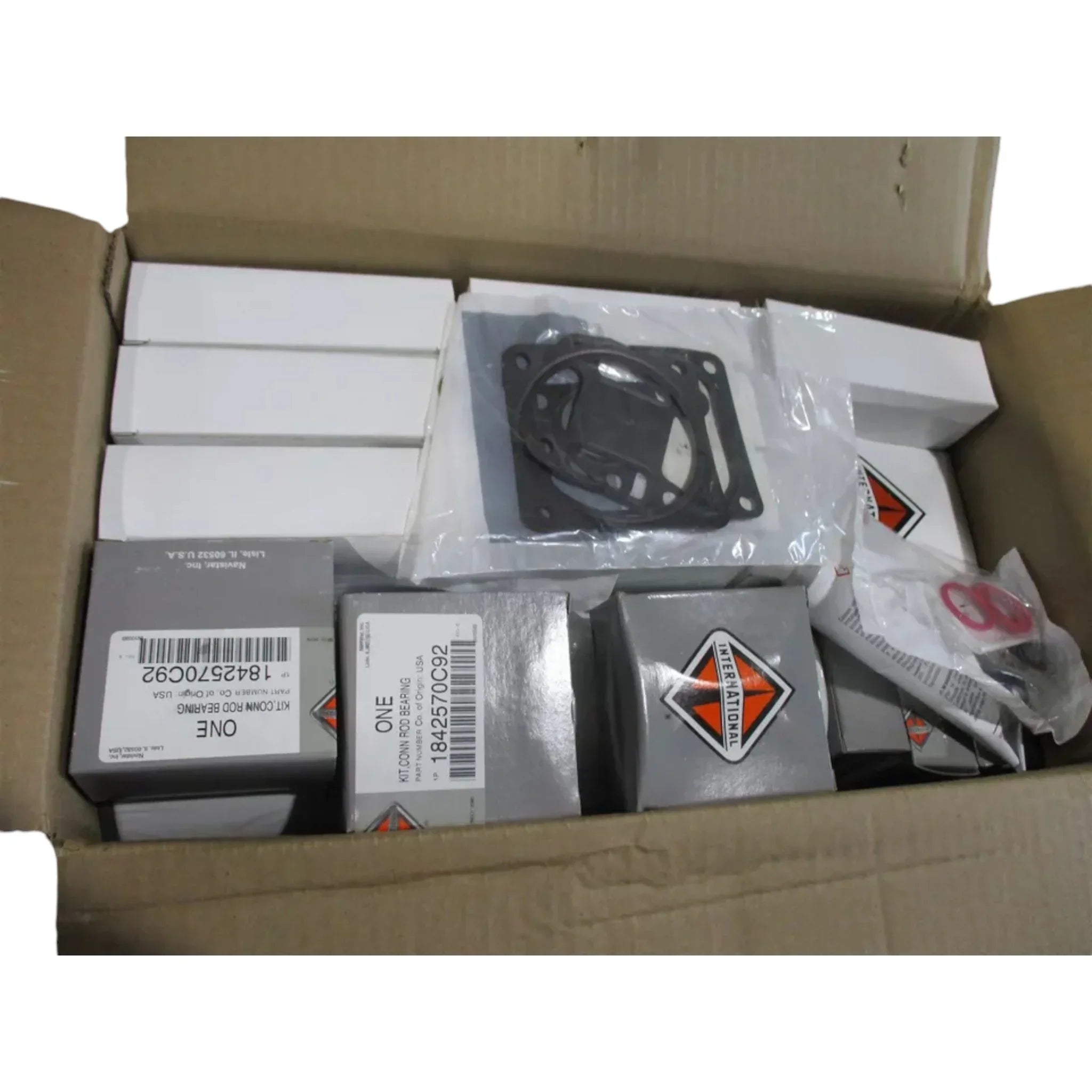 1893951C94 Genuine International Engine Overhaul Kit I-313
