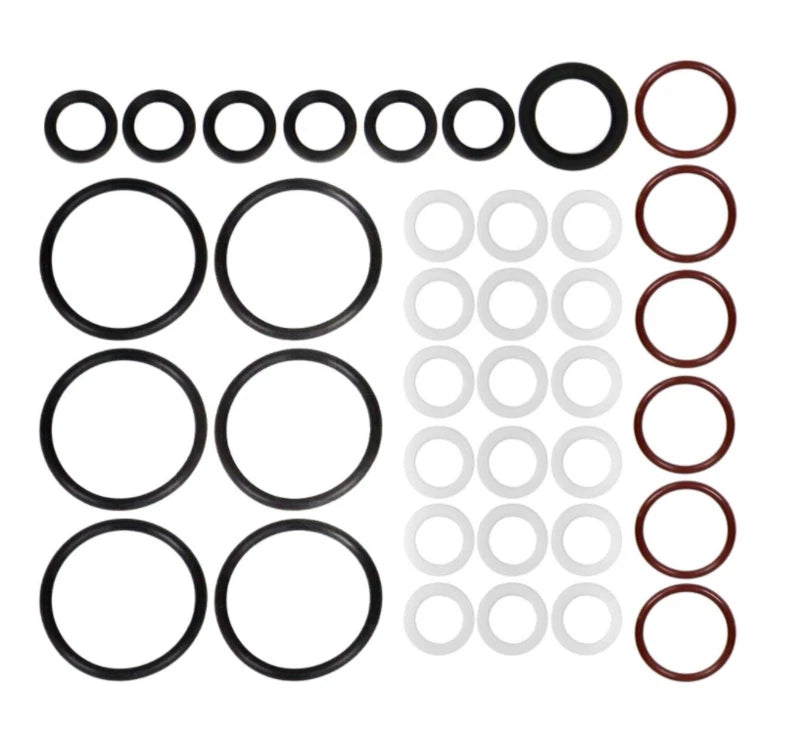 1842626C96 Genuine International High-Pressure Oil Rail Seal Kit