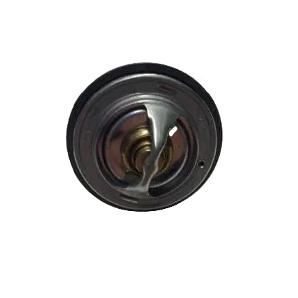 3006444C3 Genuine International Thermostat Inter