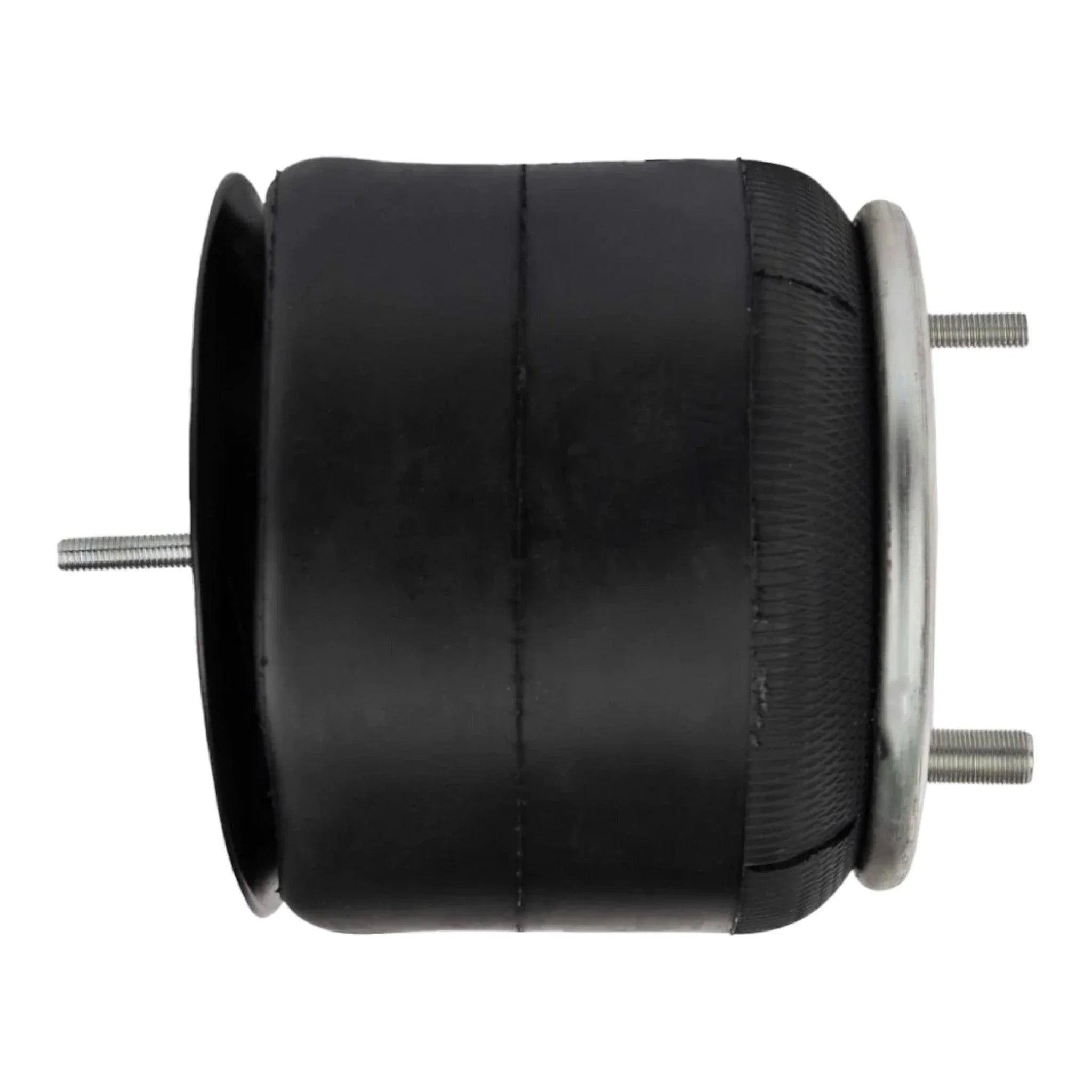 W01-358-9807 Genuine Firestone Air Spring Bag