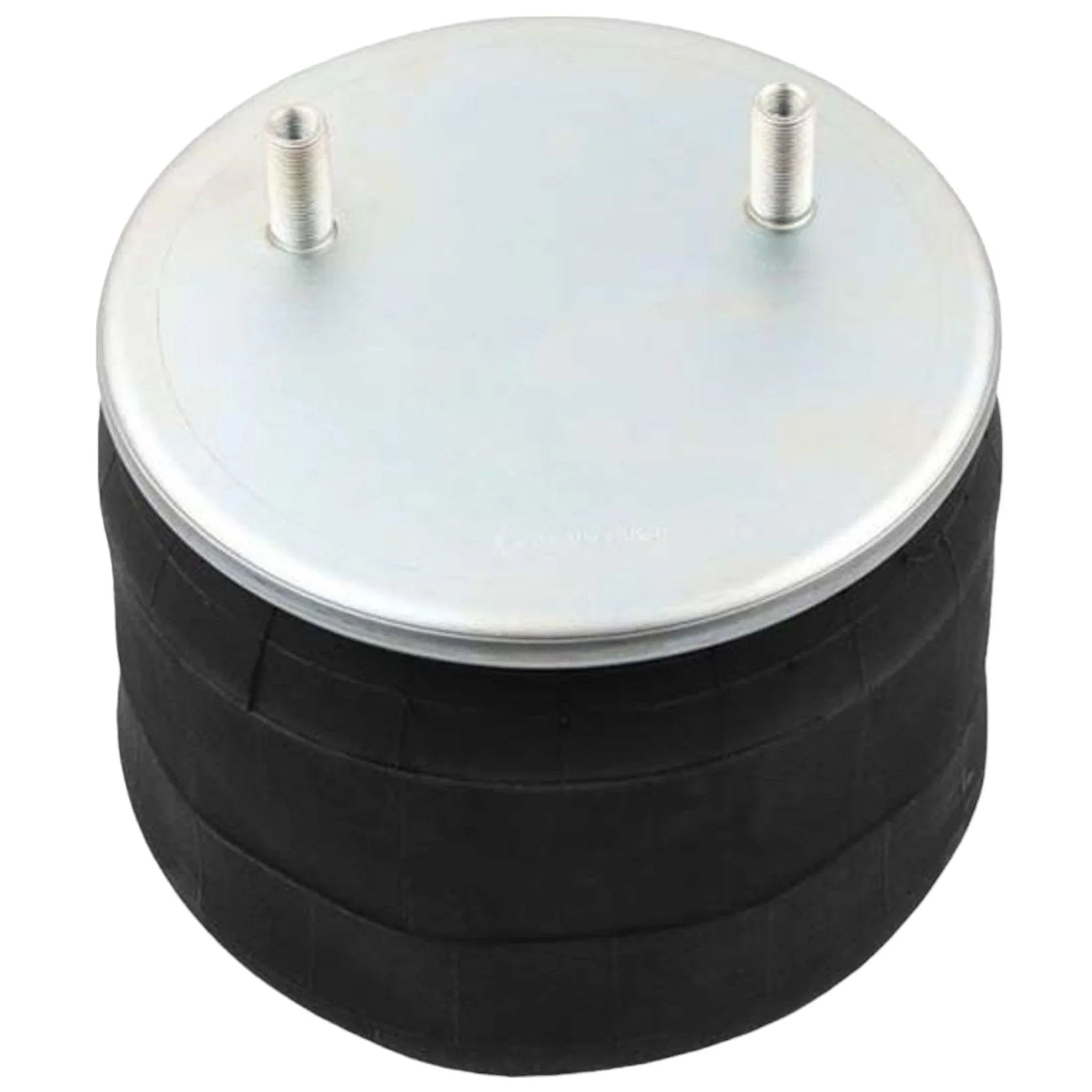 W01-358-9807 Genuine Firestone Air Spring Bag