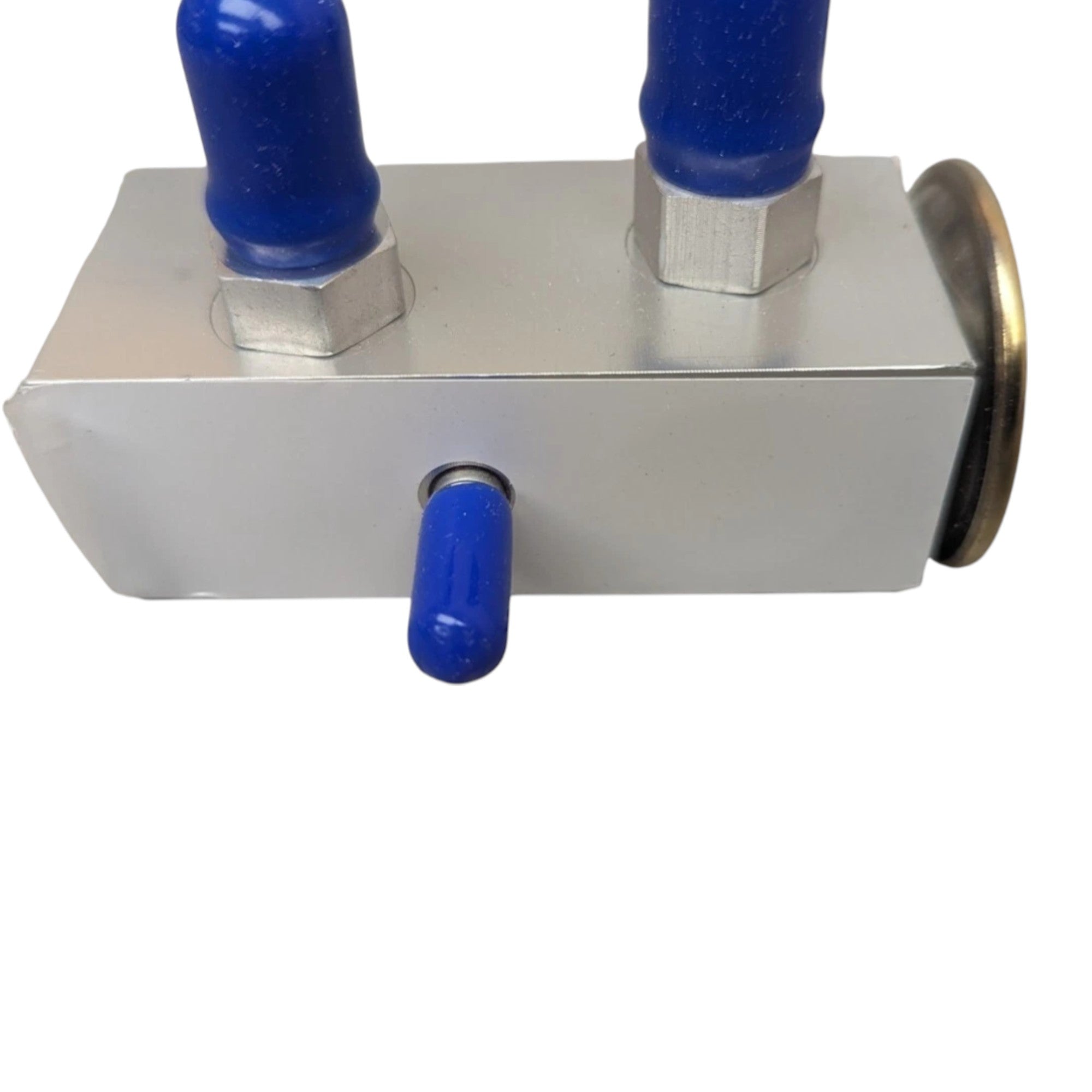 1669955-C1 Genuine International Expansion Valve