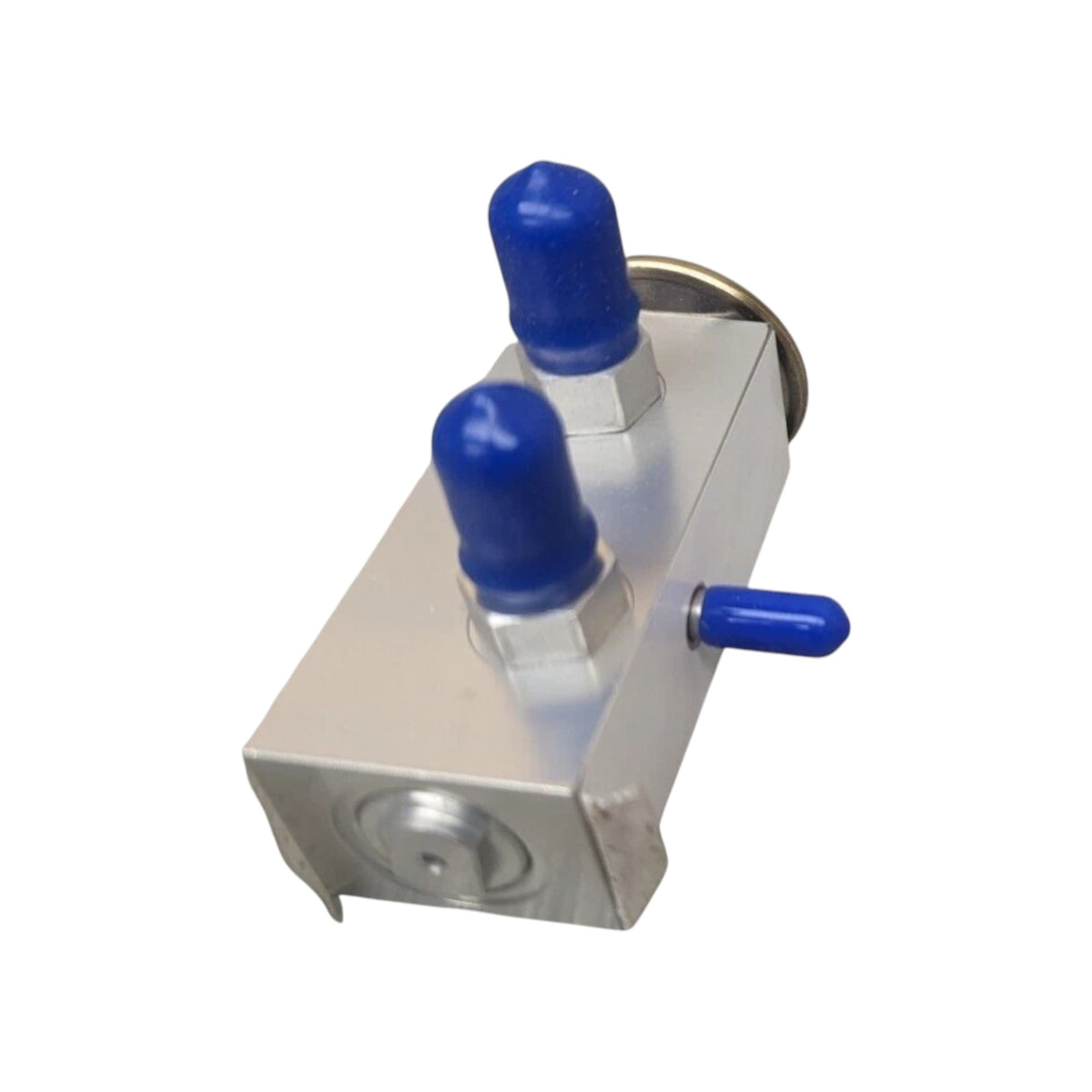 1669955-C1 Genuine International Expansion Valve