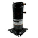 ZP31K6EPFV830 Genuine Copeland Scroll Compressor